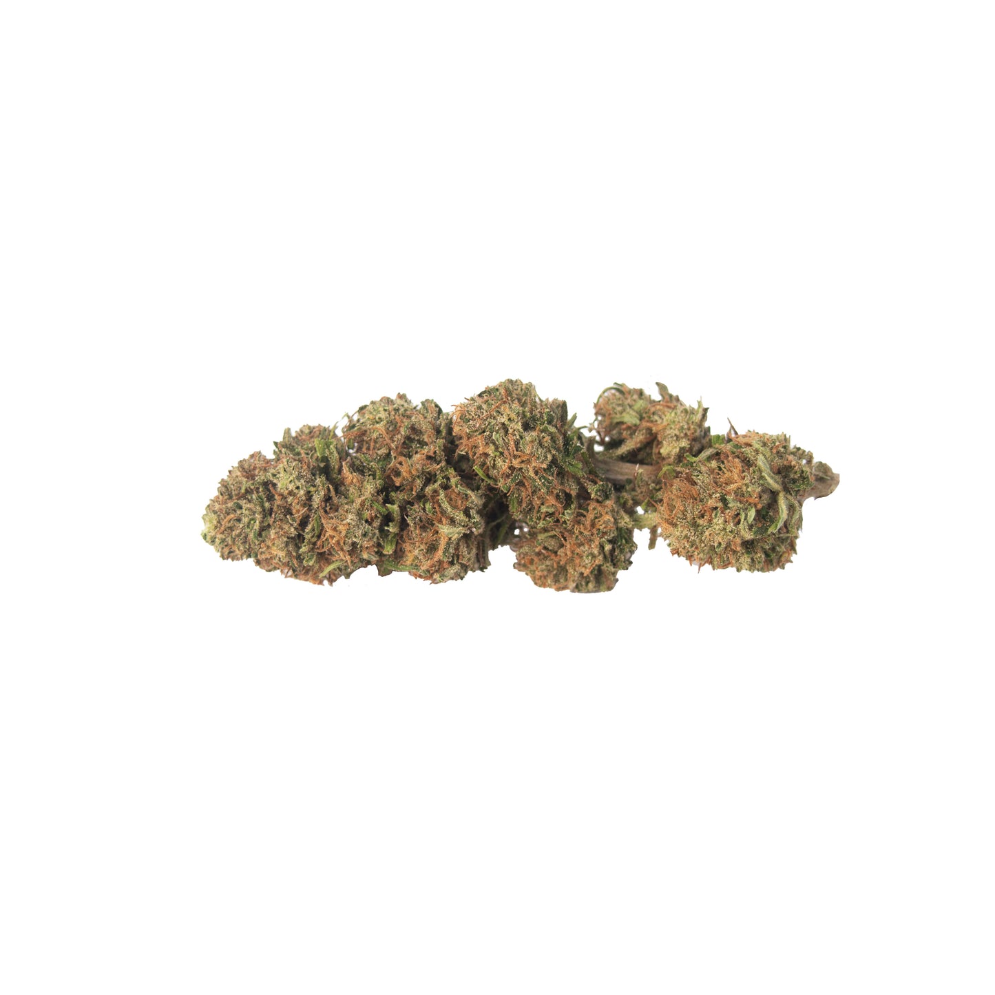 Genetik Orange Bud, 5g